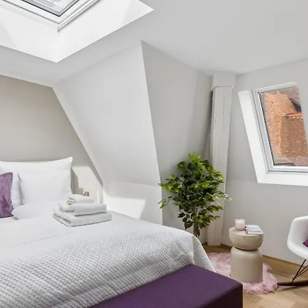 Ikon Old Town Penthouse Ac, & Mountain View Appartement Zurich