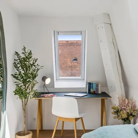Appartement Ikon Old Town Penthouse Ac, & Mountain View Zurich