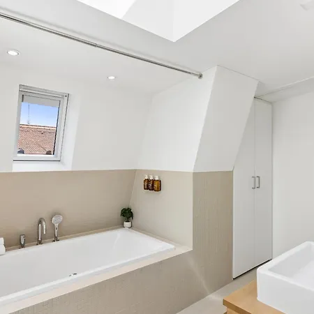 Ikon Old Town Penthouse Ac, & Mountain View * Zurich